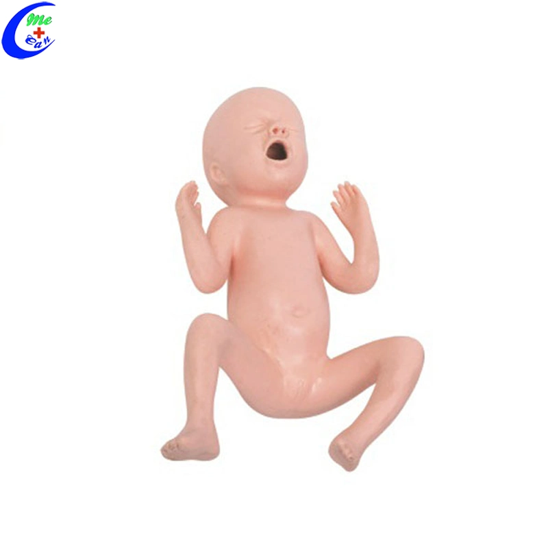 Medical Training Newborn Baby Manikin Dolls